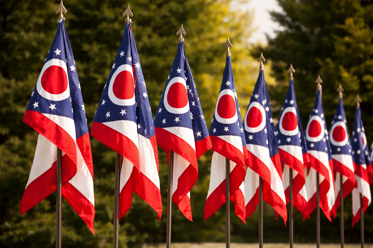 Ohio state flag
