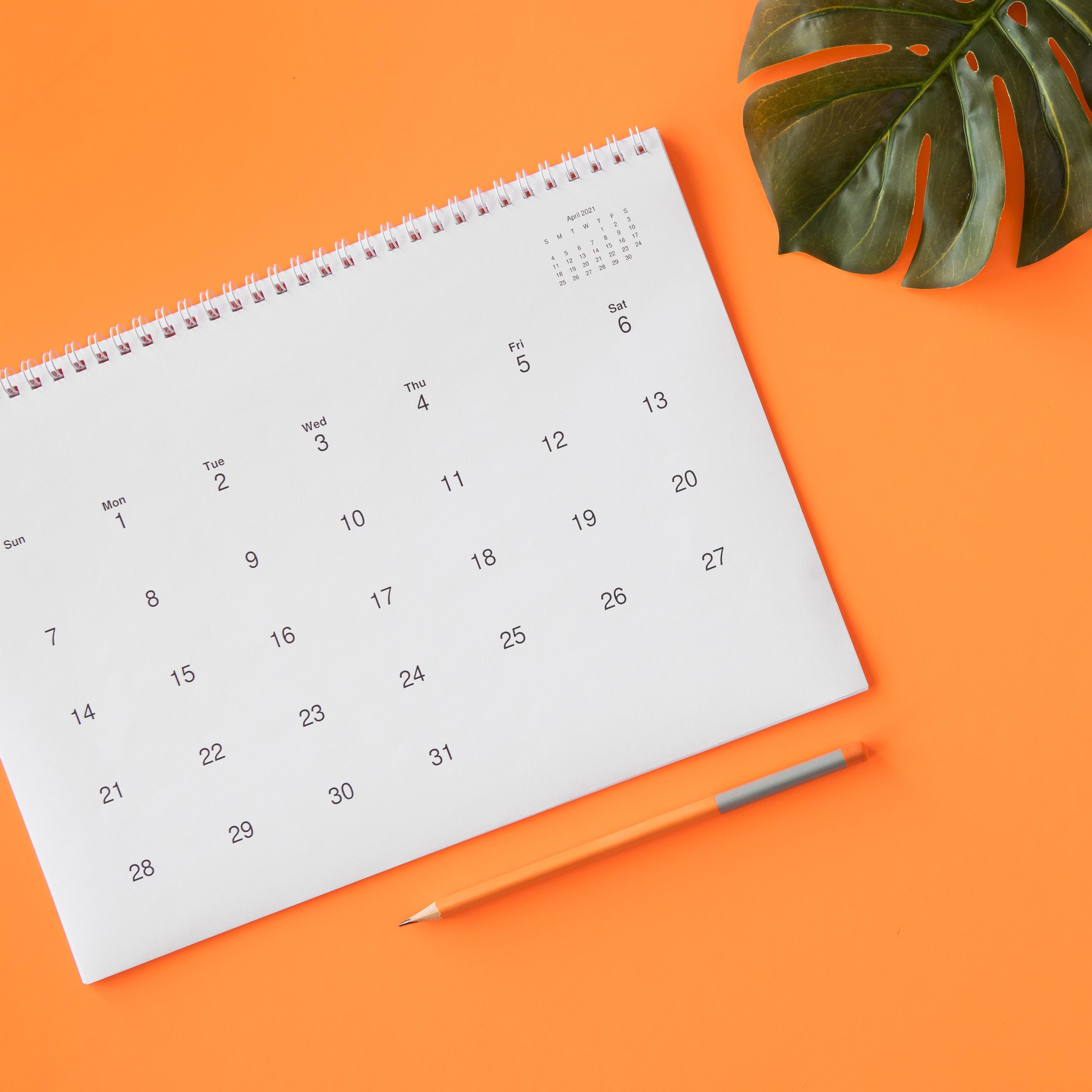 Calendar on orange background with monstera leaf. Image by Freepiks.