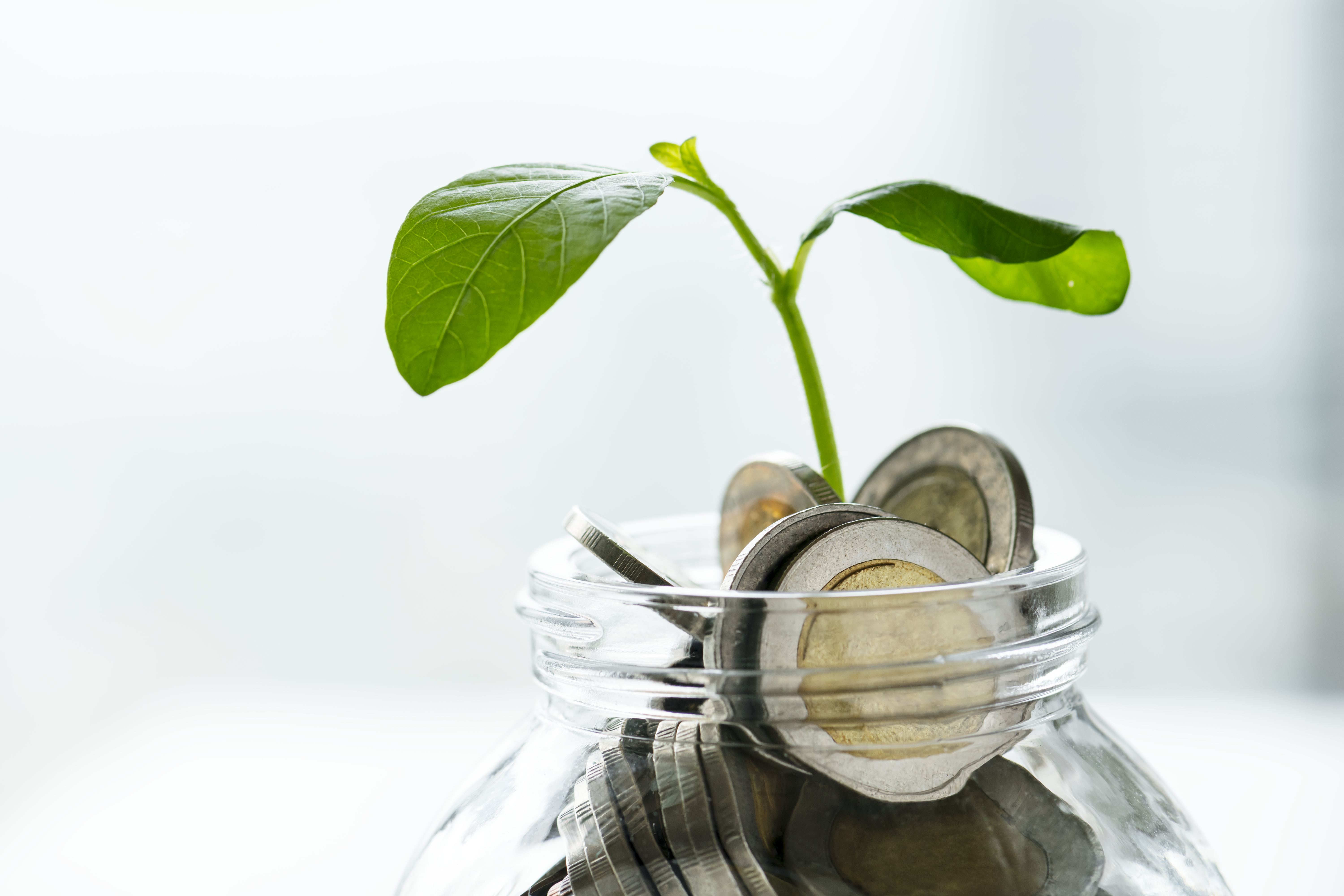 Jar of coins with a plant growing out of it. Image by Freepiks.