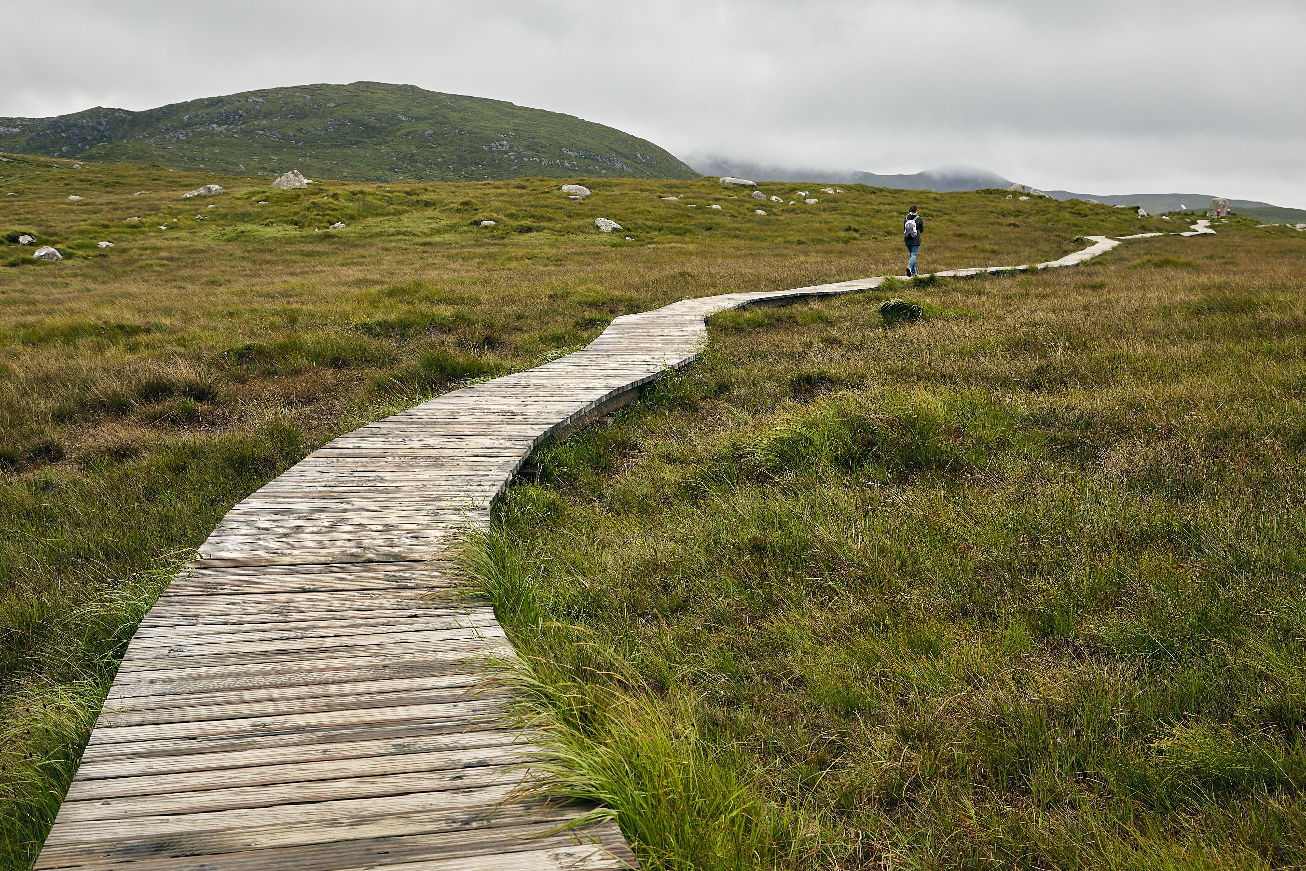 Narrow pathway leading through national park.