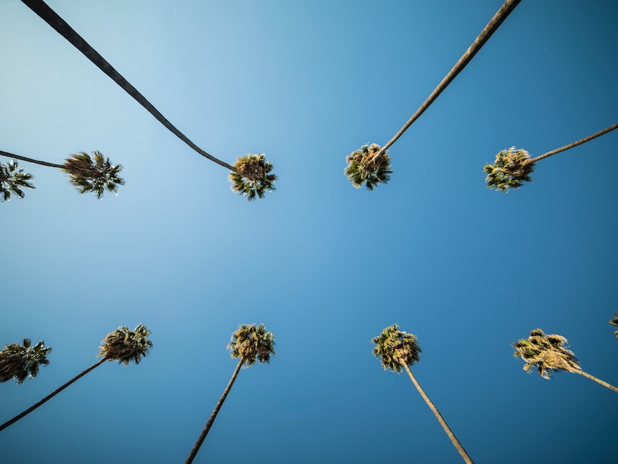 CA particular person medical health insurance for LA ICHRAs