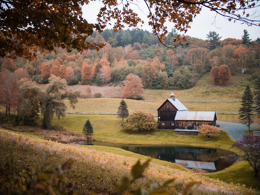 Vermont Small Enterprise Well being Insurance coverage Choices 2024